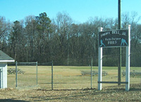 image of multipurpose ball field